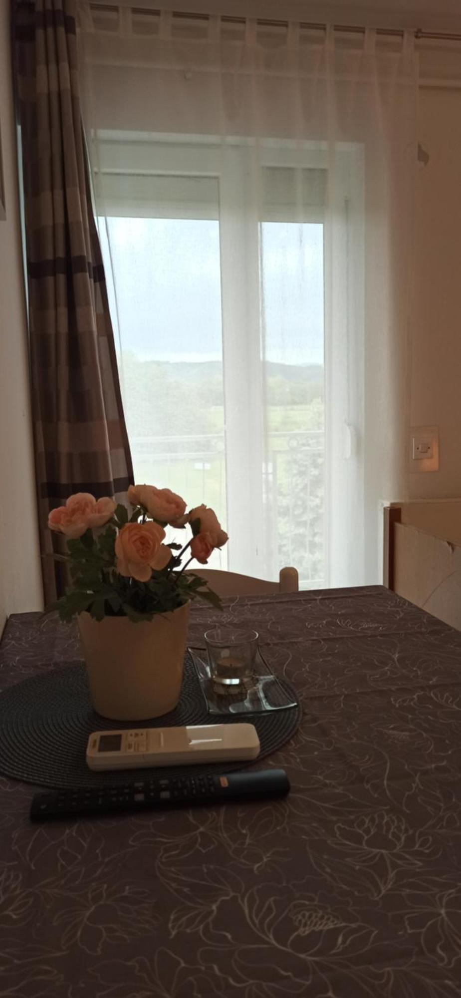 Studio Apartmani Ok Lipik ห้อง รูปภาพ